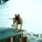 me encanta mi gringo =)
TE AMO 
Me acuerdo tanto de ti... =/